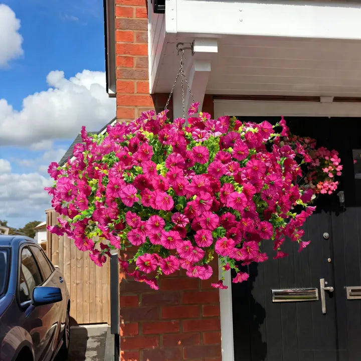 🔥Last Day 60% OFF🔥Petunias Flowers Seed