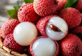 🔥 65K+ SOLD! 🌱Rare Tropical Lychee Tree – A Unique Fruit Growing Experience