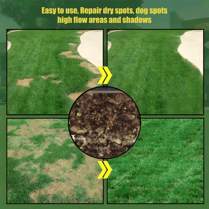 🔥Last Day Promotion 50% OFF🔥🌱2026 Evergreen Dwarf Grass Seed for Four Seasons| Durable, Vibrant Green All Year