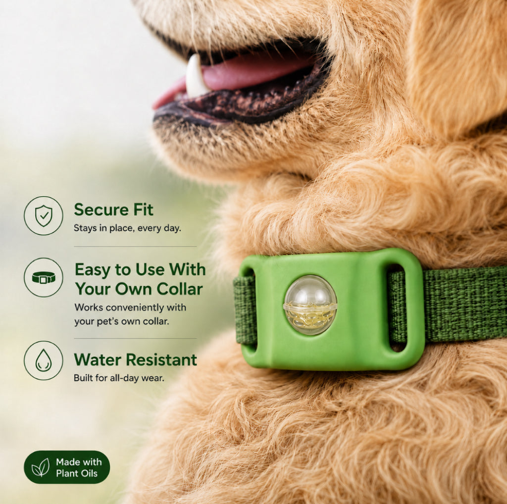 Pets Worming Collar Buckles| 60 Days Flea &Tick Free
