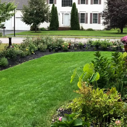 🔥Last Day Promotion 50% OFF🔥🌱2026 Evergreen Dwarf Grass Seed for Four Seasons| Durable, Vibrant Green All Year