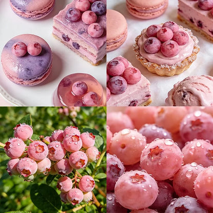🔥50K+ SOLD!💟Pink Blueberry Seeds -😋A Uniquely Delightful Taste(2 PCS-1000 seeds)