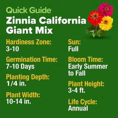 🔥Last Day 70% OFF🔥Zinnia Seeds - Pure Seeds - No Filler -Heirloom Flower Seeds
