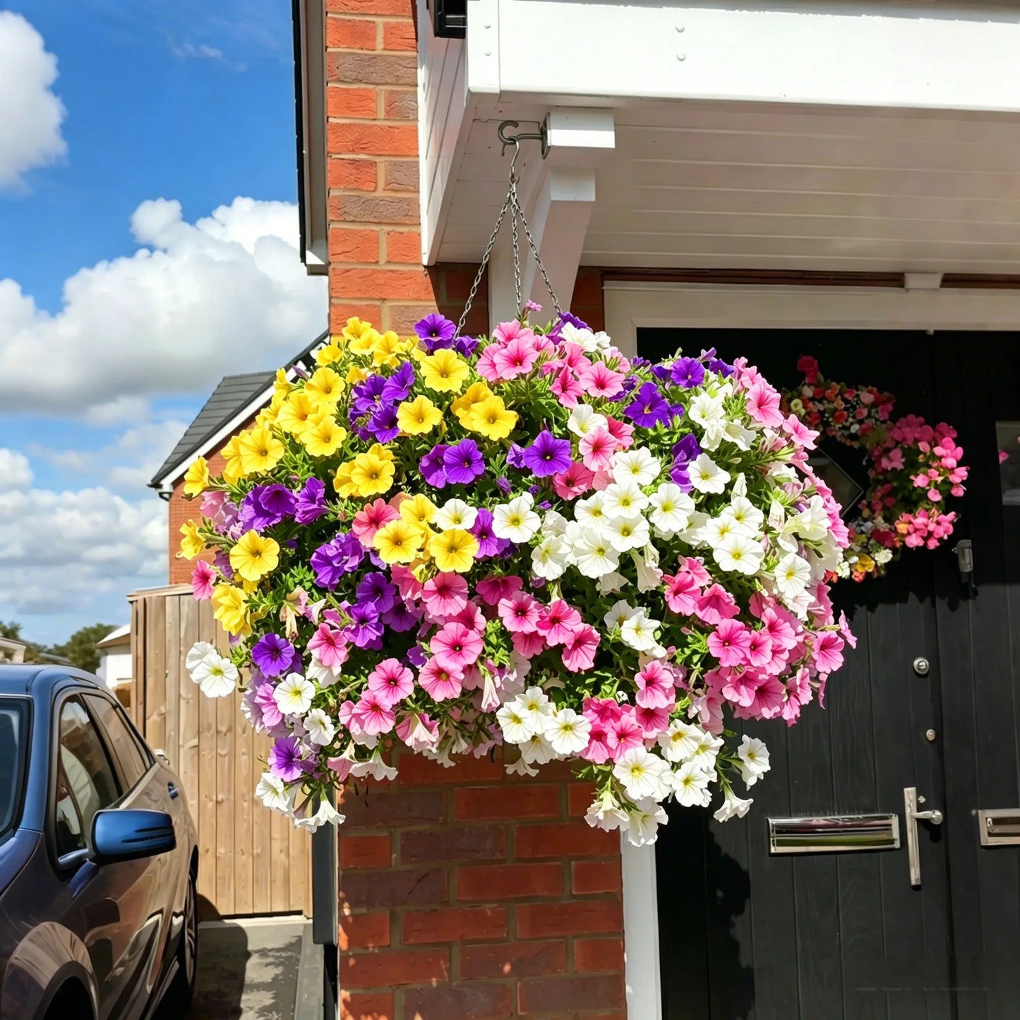 🔥Last Day 60% OFF🔥Petunias Flowers Seed
