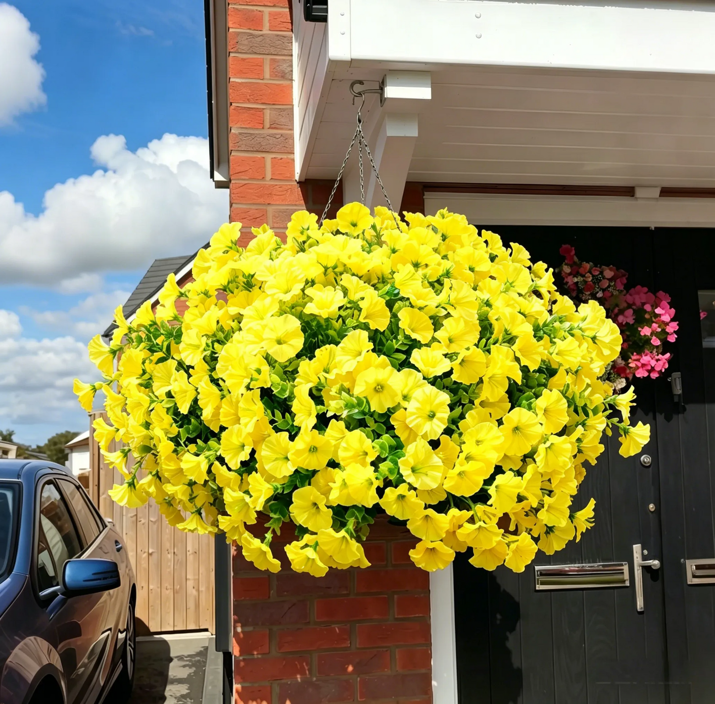🔥Last Day 60% OFF🔥Petunias Flowers Seed