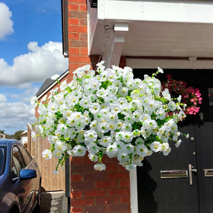 🔥Last Day 60% OFF🔥Petunias Flowers Seed