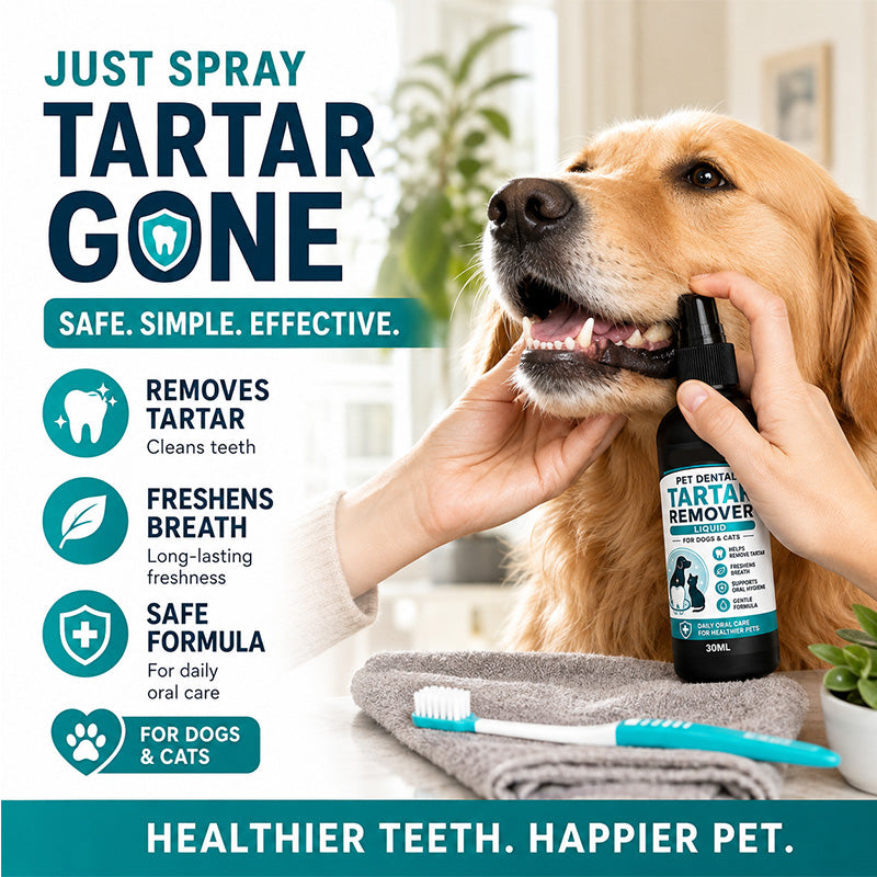 🐾Enjoy 50% off now! Buy one get one free gentle pet dental cleaning spray
