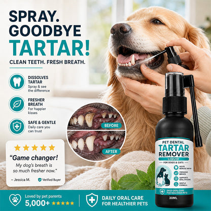 🐾Enjoy 50% off now! Buy one get one free gentle pet dental cleaning spray