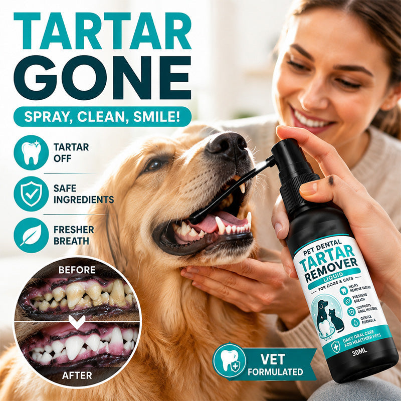 🐾Enjoy 50% off now! Buy one get one free gentle pet dental cleaning spray